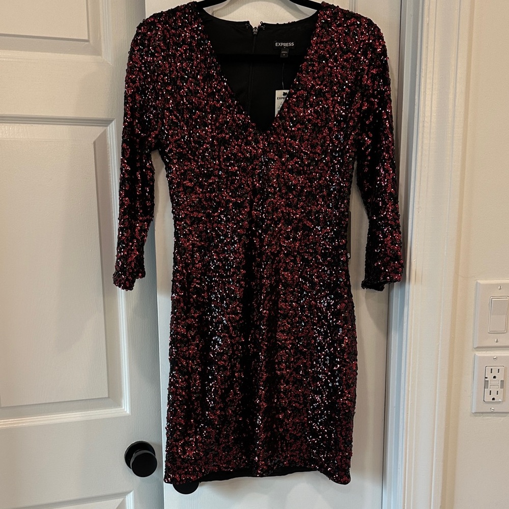 Express Deep Red Sequin Dress